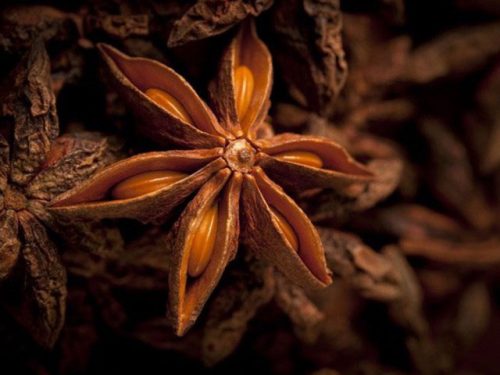 استار آنیس، رازیانه، زنیان و بادیان رومی