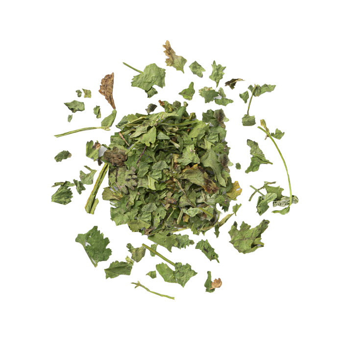 پودر گشنیز